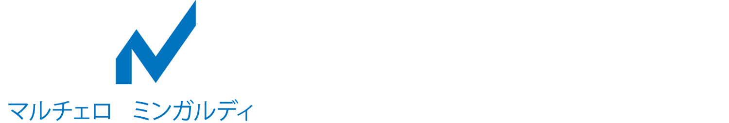 Web Marketing Seo e Web Design a Bologna Marcello Mingardi Digital Marketer